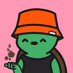 Turtle Town #3562