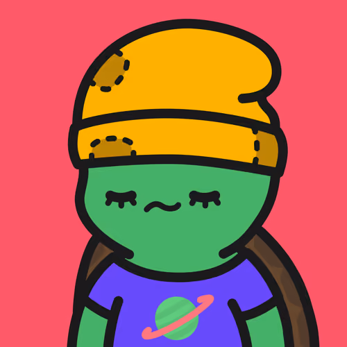 Turtle Town #6720