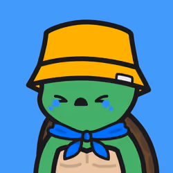 Turtle Town #9001