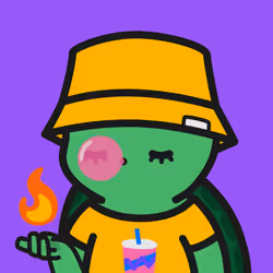 Turtle Town #3010