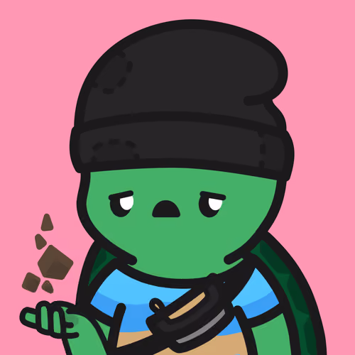 Turtle Town #4765