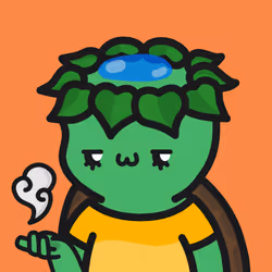 Turtle Town #1995