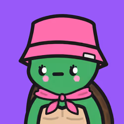 Turtle Town #4171