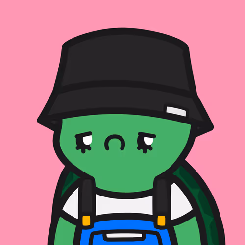 Turtle Town #724