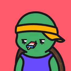 Turtle Town #4666