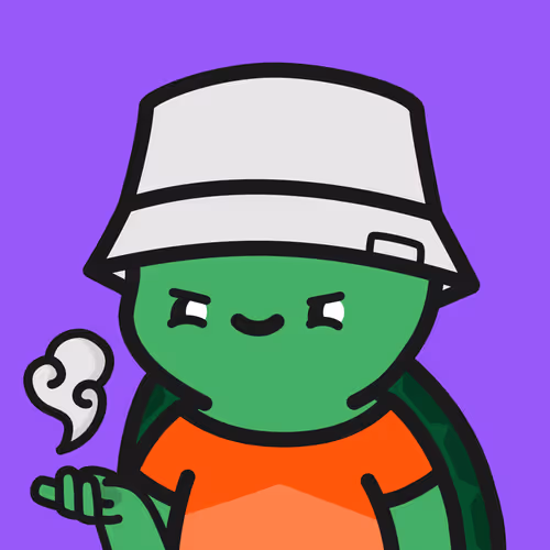 Turtle Town #9972