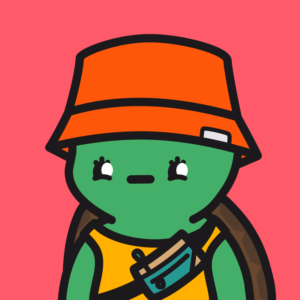 Turtle Town #9981
