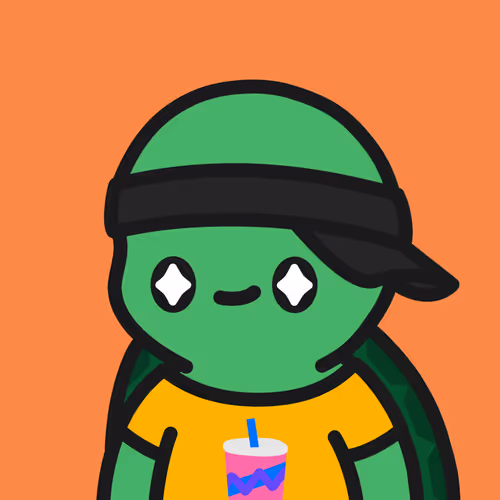 Turtle Town #5100