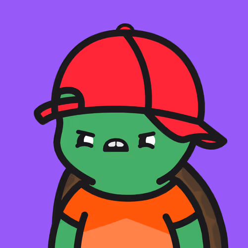 Turtle Town #8598