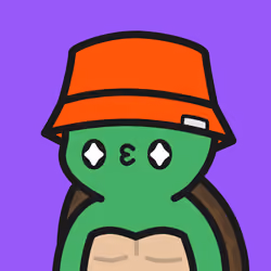 Turtle Town #4754