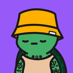 Turtle Town #4386