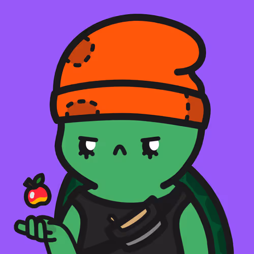 Turtle Town #3180