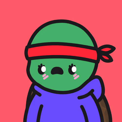 Turtle Town #2850