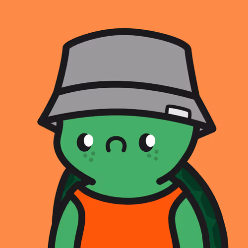 Turtle Town #9992