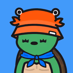 Turtle Town #4762
