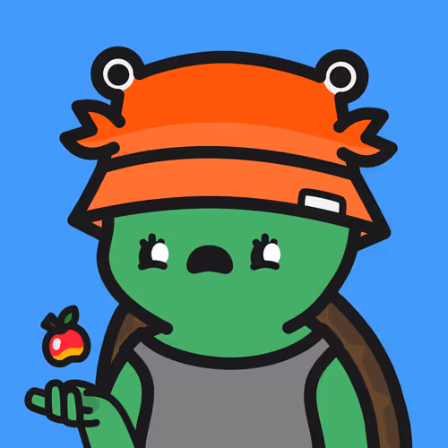Turtle Town #6425
