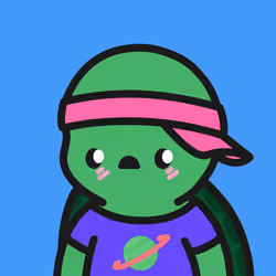 Turtle Town #5892