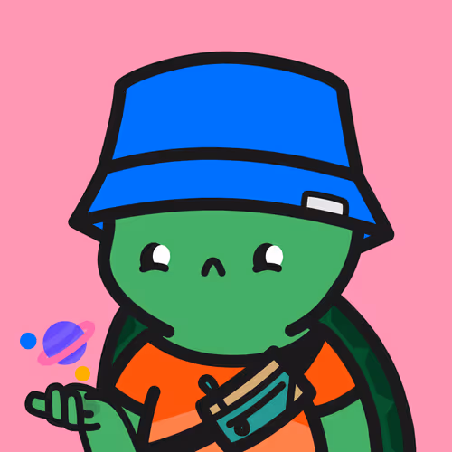 Turtle Town #9816