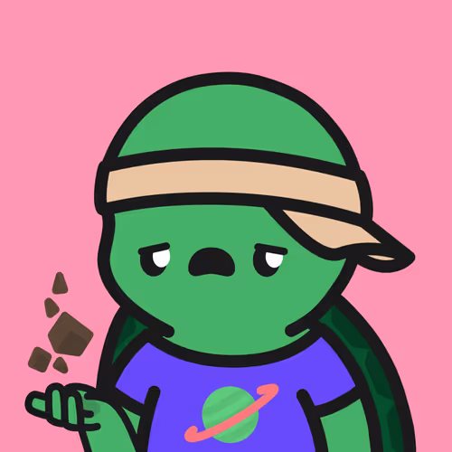 Turtle Town #9318