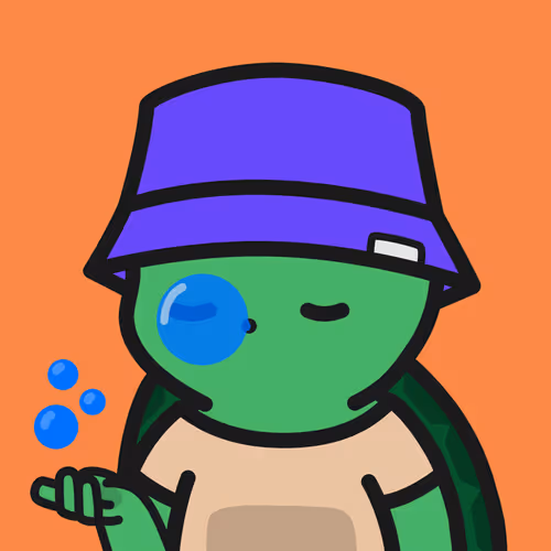 Turtle Town #8028