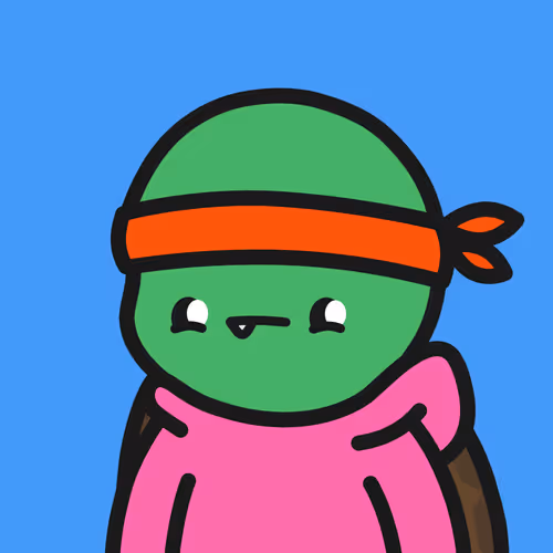 Turtle Town #3661