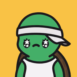 Turtle Town #3428