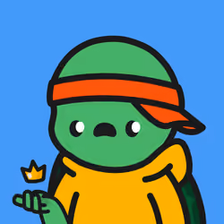 Turtle Town #708