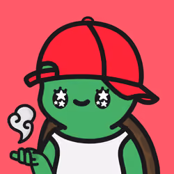 Turtle Town #2937