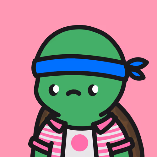 Turtle Town #3373