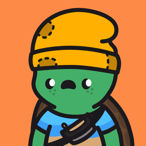 Turtle Town #1276