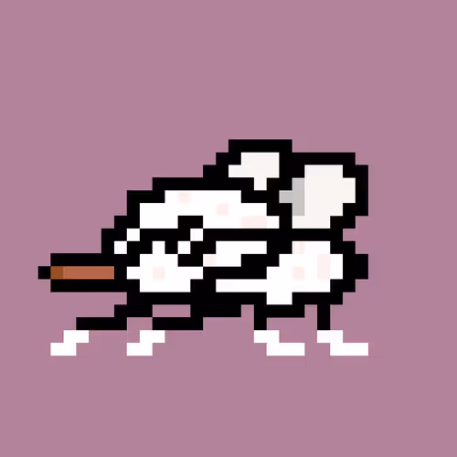 Cryptoflyz