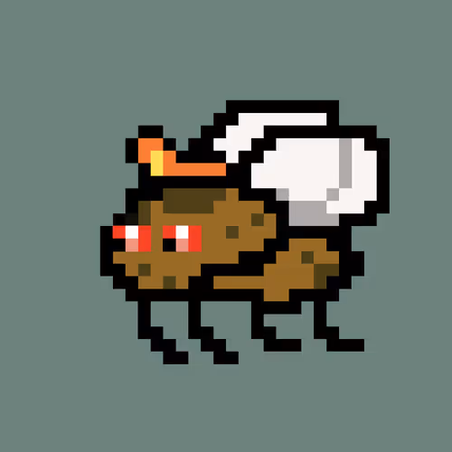 Cryptoflyz
