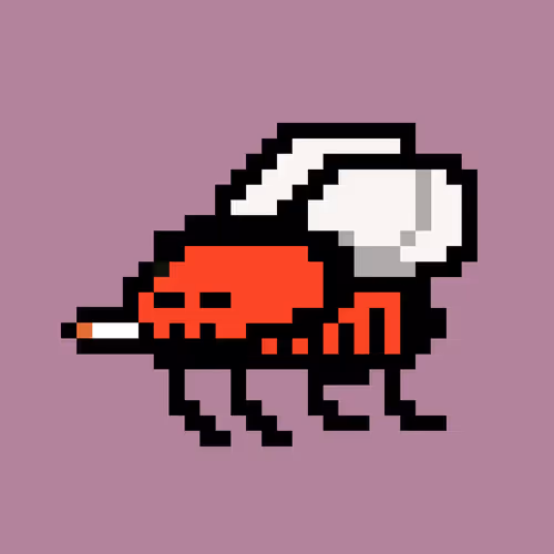 Cryptoflyz