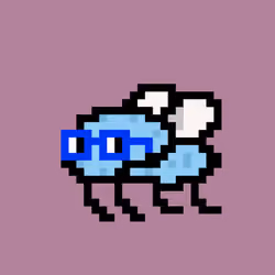 CryptoFlyz #977