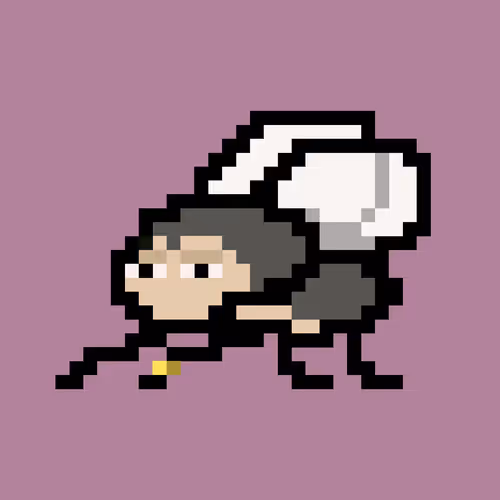 Cryptoflyz