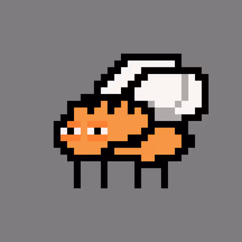 Cryptoflyz