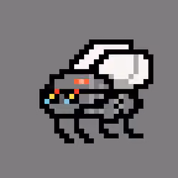 CryptoFlyz #5843