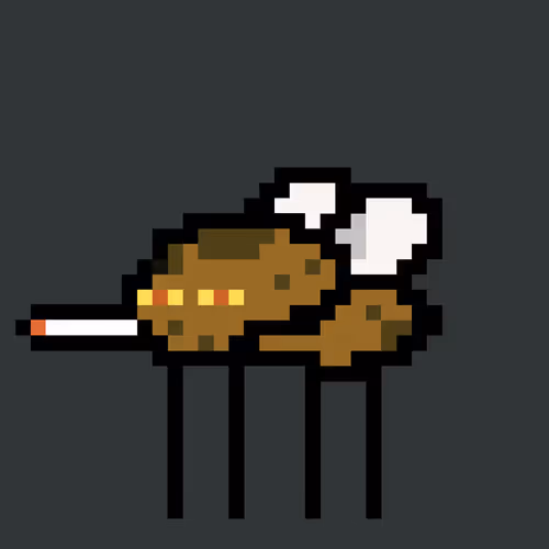 Cryptoflyz
