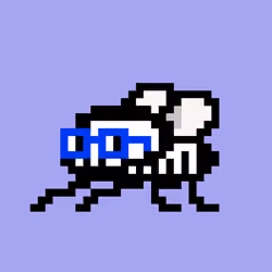 CryptoFlyz #555