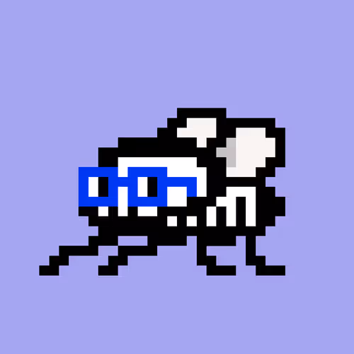 CryptoFlyz #555
