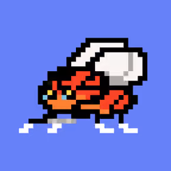 CryptoFlyz #42