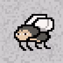 CryptoFlyz #401