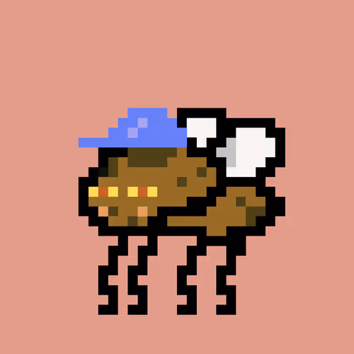 Cryptoflyz