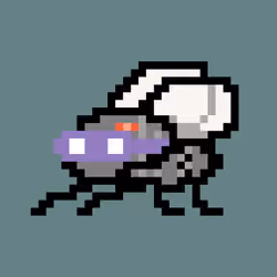 CryptoFlyz #6007