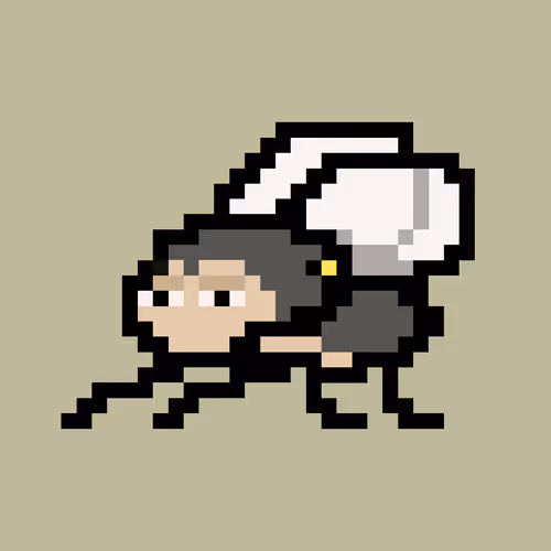 Cryptoflyz