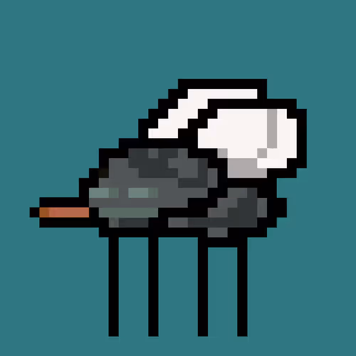 Cryptoflyz