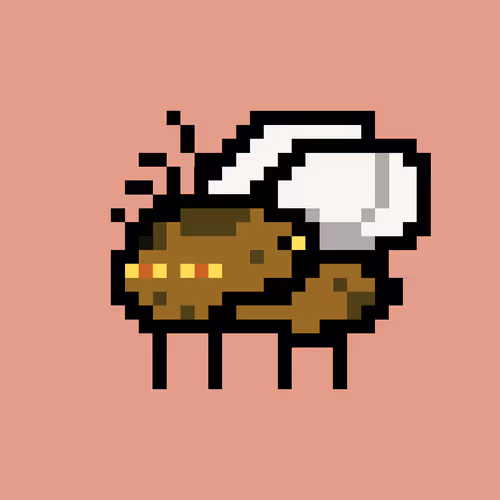 Cryptoflyz