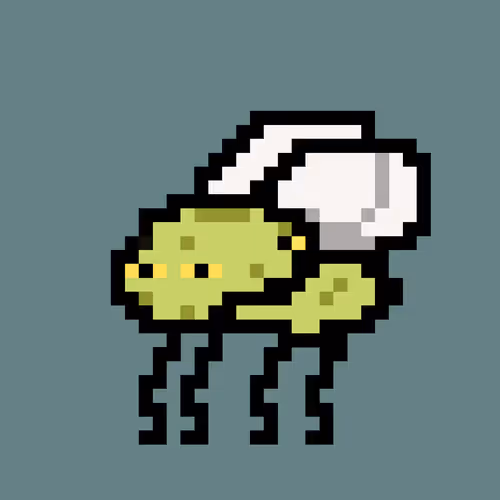Cryptoflyz