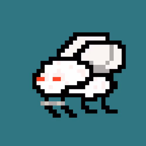 Cryptoflyz