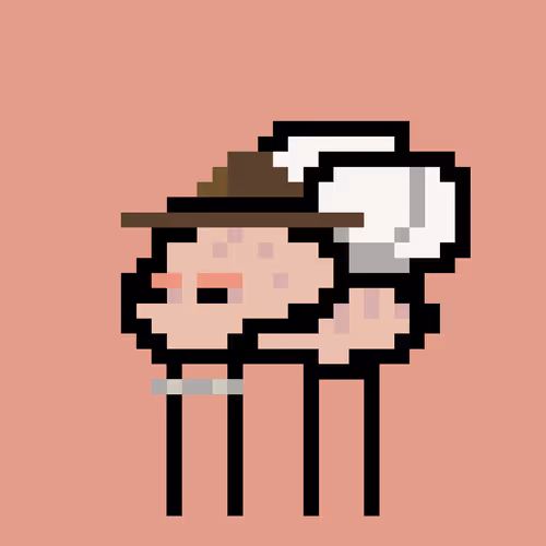 Cryptoflyz